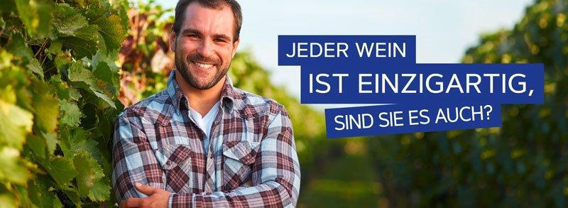 Winzer (w/m/d) - Ausbildung 2026, 1. Bild